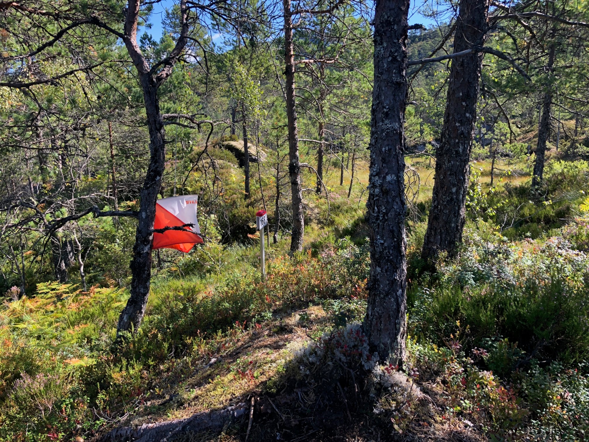 Orientering måndagar på Langeland
